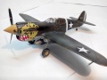 ARII 1/48 P-40(E) Kittyhawk