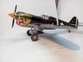 ARII 1/48 P-40(E) Kittyhawk