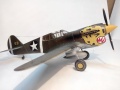 ARII 1/48 P-40(E) Kittyhawk