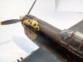 ARII 1/48 P-40(E) Kittyhawk