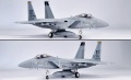 Hasegawa 1/72 F-15C / 79-036