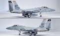 Hasegawa 1/72 F-15C / 79-036