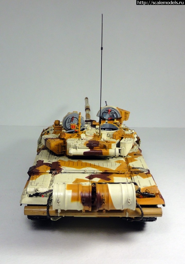 1455034690_finish-rear1_3.jpg : / MENG T-90A -   