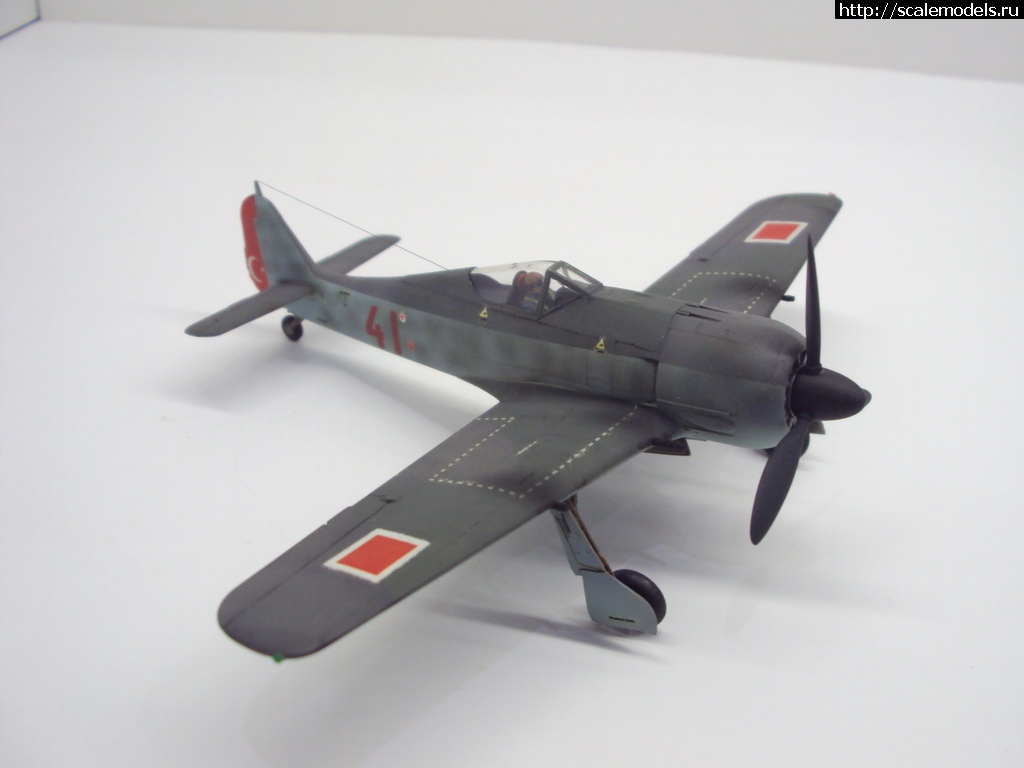 1455396458_DSC09360_rrrsr-srrrrs.jpg : #1226220/ FW-190 A-4 1:72  - !!!  