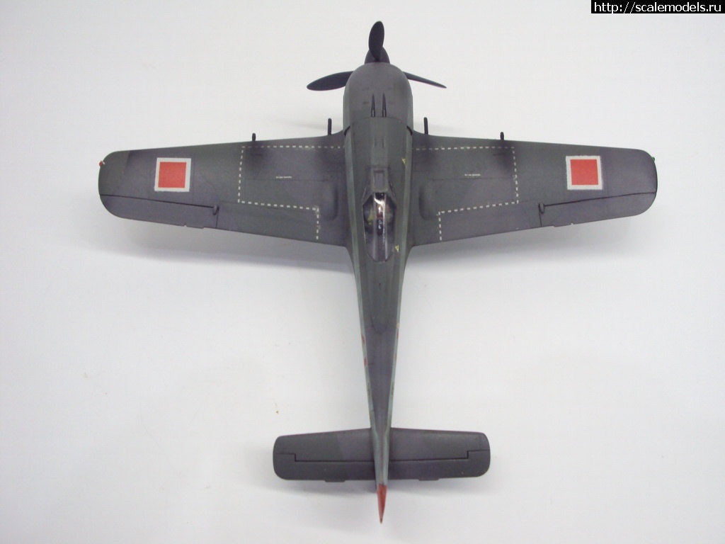 1455396471_DSC09368_rrrsr-srrrrs.jpg : #1226220/ FW-190 A-4 1:72  - !!!  