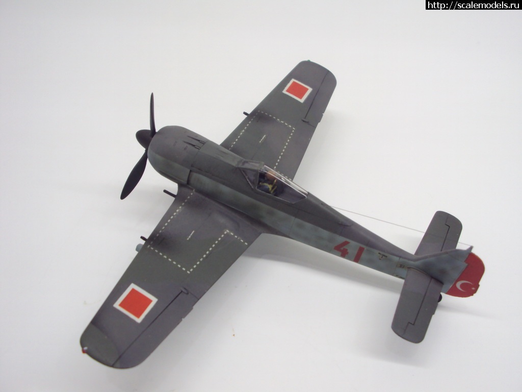 1455396475_DSC09371_rrrsr-srrrrs.jpg : #1226220/ FW-190 A-4 1:72  - !!!  