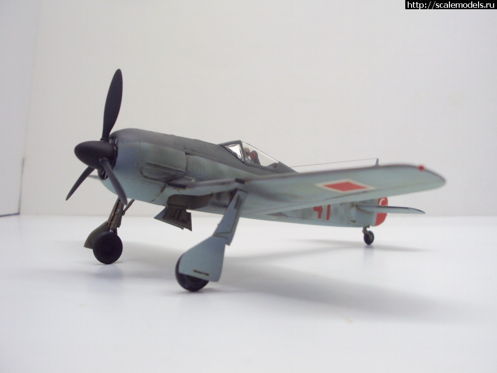 1455396478_DSC09373_rrrsr-srrrrs.jpg : #1226220/ FW-190 A-4 1:72  - !!!  