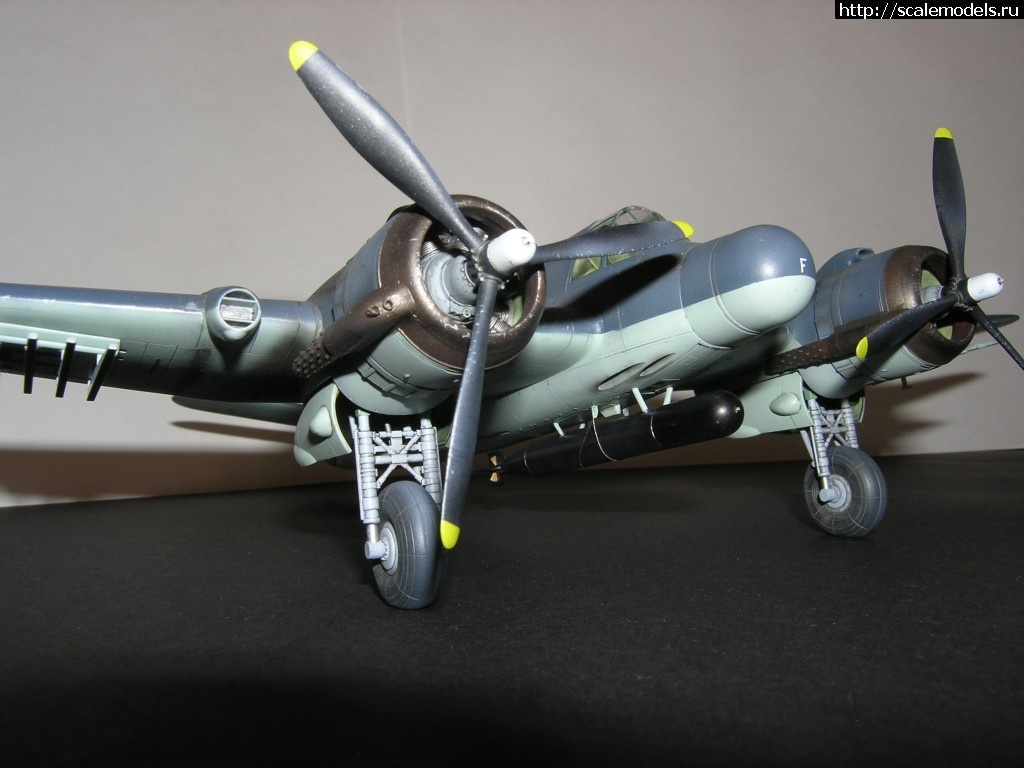 1455711826_P1010006.jpg : Tamiya 1/48 Beaufighter TF.Mk.X 254 /  "  ":  1/48    