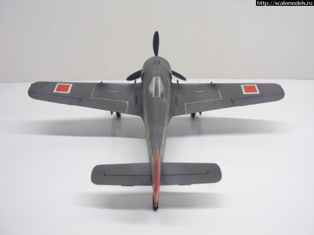 1456004699_DSC09498_rrrsr-srrrrs.jpg : #1228856/ FW-190 A-4 1:72  - !!!  