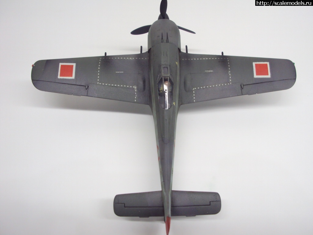 1456004701_DSC09499_rrrsr-srrrrs.jpg : #1228856/ FW-190 A-4 1:72  - !!!  