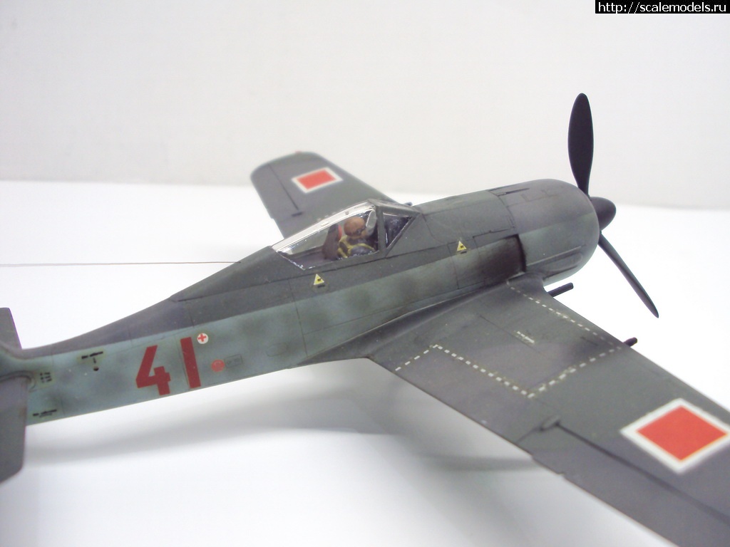 1456004709_DSC09503_rrrsr-srrrrs.jpg : #1228856/ FW-190 A-4 1:72  - !!!  