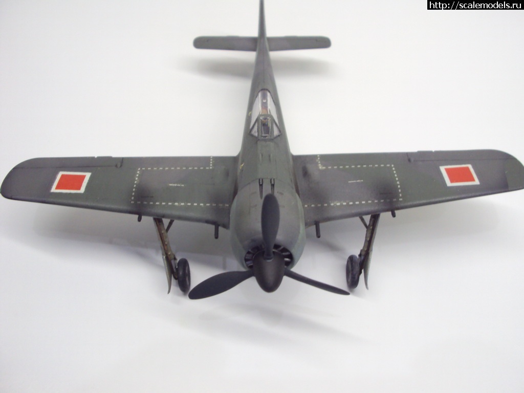 1456004714_DSC09507_rrrsr-srrrrs.jpg : #1228856/ FW-190 A-4 1:72  - !!!  