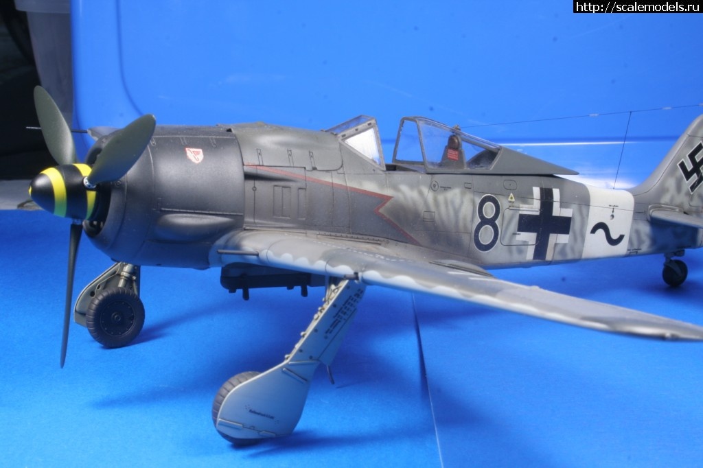 1456334514_IMG_3580.jpg : #1230357/ FW190A-8/A-8 R2  Tamiya 1/48 (andrey_ya/Rowdy) []  