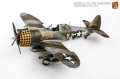 Tamiya 1/48 P-47D-15RE Thunderbolt