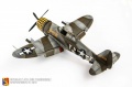 Tamiya 1/48 P-47D-15RE Thunderbolt