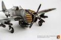 Tamiya 1/48 P-47D-15RE Thunderbolt