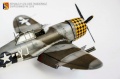 Tamiya 1/48 P-47D-15RE Thunderbolt