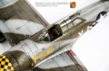 Tamiya 1/48 P-47D-15RE Thunderbolt