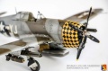 Tamiya 1/48 P-47D-15RE Thunderbolt