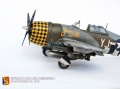 Tamiya 1/48 P-47D-15RE Thunderbolt