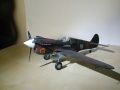 Hasegawa 1/32 P-40 Kittyhawk - 