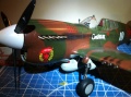 Hasegawa 1/32 P-40 Kittyhawk - 