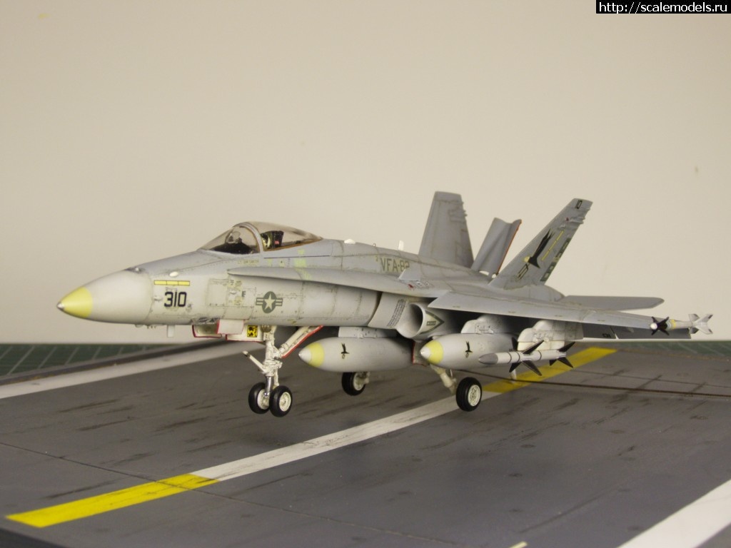 1457123914_P3041531.jpg :   ? F-18 Hasegawa 1/72  