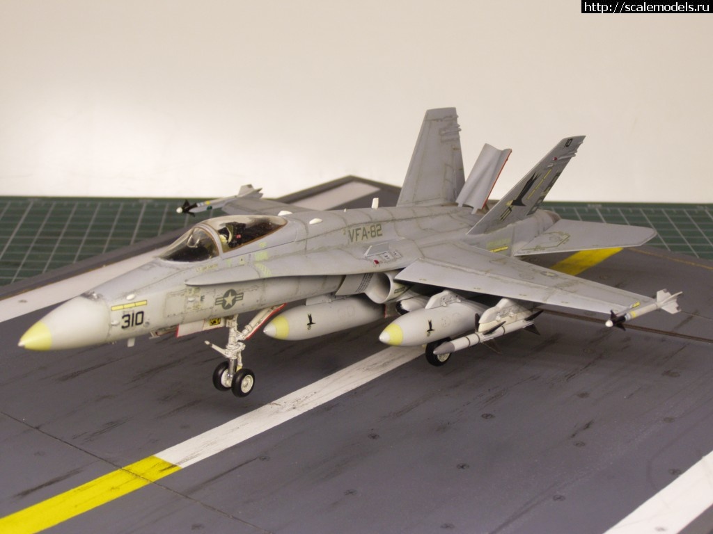 1457123932_P3041532.jpg :   ? F-18 Hasegawa 1/72  