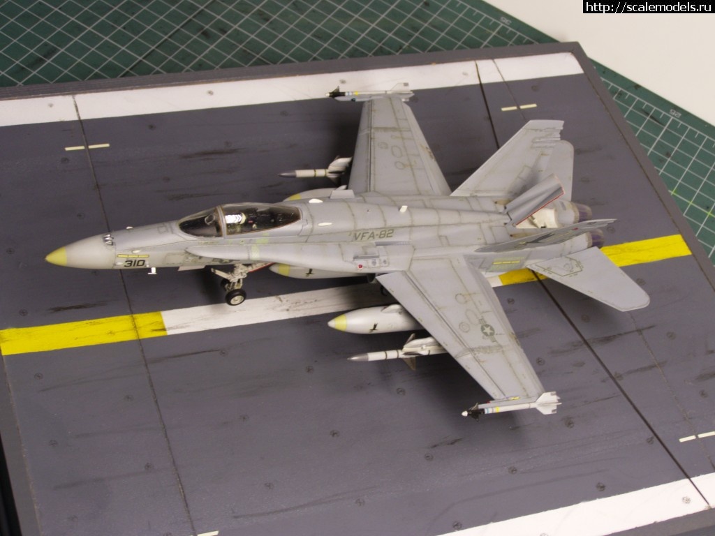 1457123949_P3041533.jpg :   ? F-18 Hasegawa 1/72  