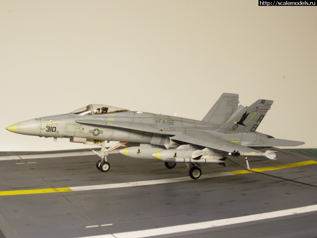 1457123998_P3041536.jpg :   ? F-18 Hasegawa 1/72  