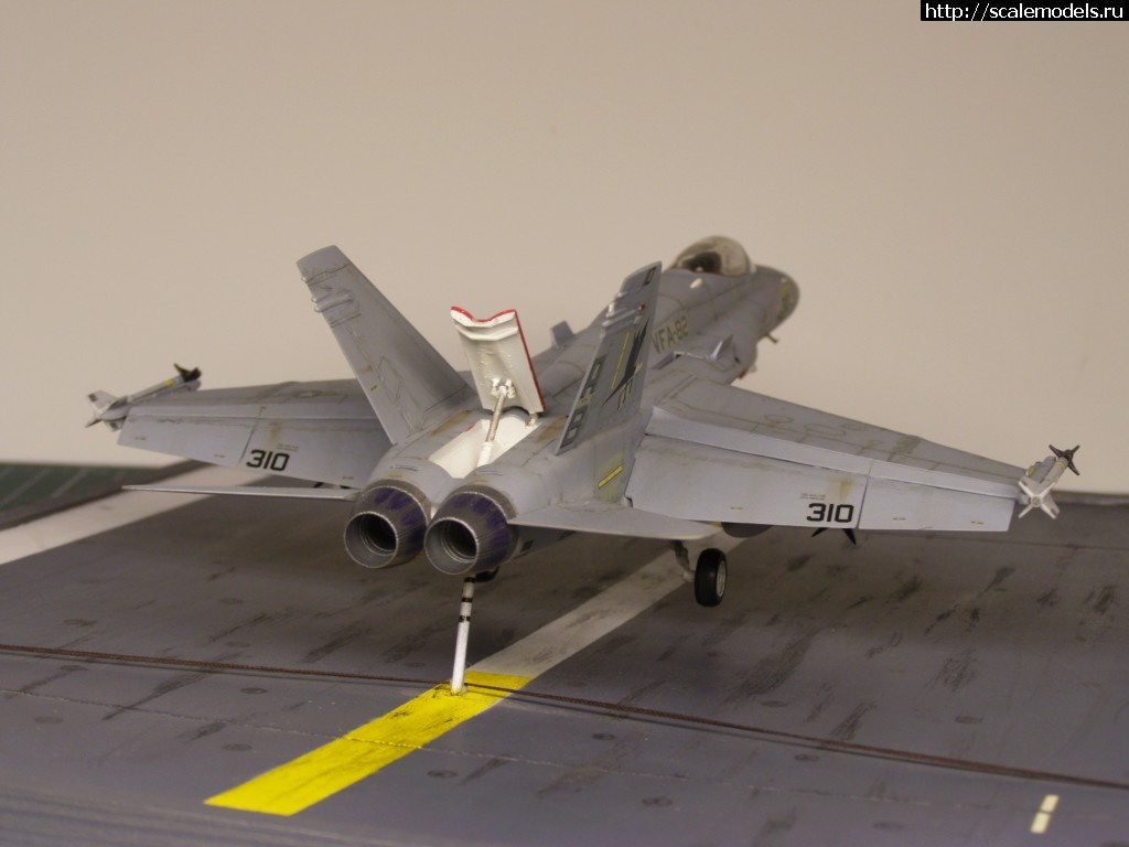 1457124016_P3041537.jpg :   ? F-18 Hasegawa 1/72  