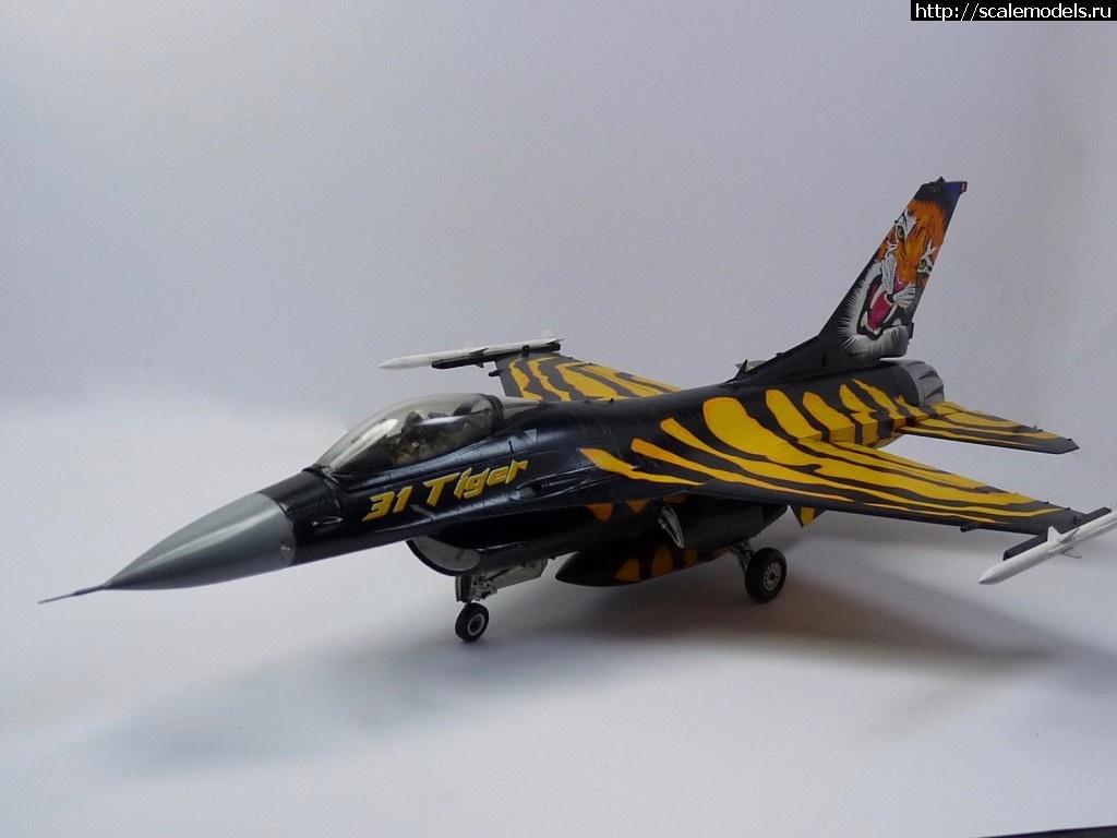 1457450681_P1070386.jpg : #1235384/ F16CJ Fighting Falcon, 1/48_Avienda/Romanych  