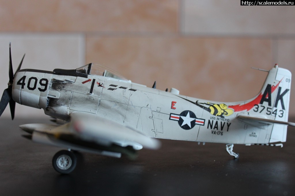 1458975941_IMG_9258.jpg : #1242437/ A-1H skyraider 1-72 Hasegava   