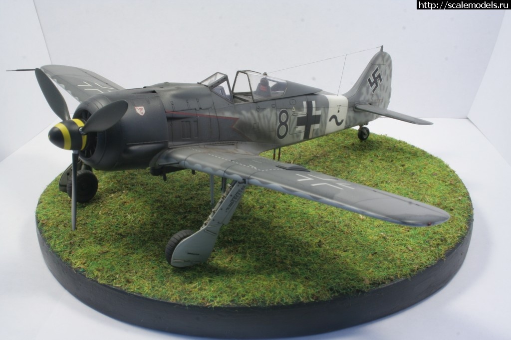 1459058991_IMG_3615.jpg : #1242894/ FW190A-8/A-8 R2  Tamiya 1/48 (andrey_ya/Rowdy) []  