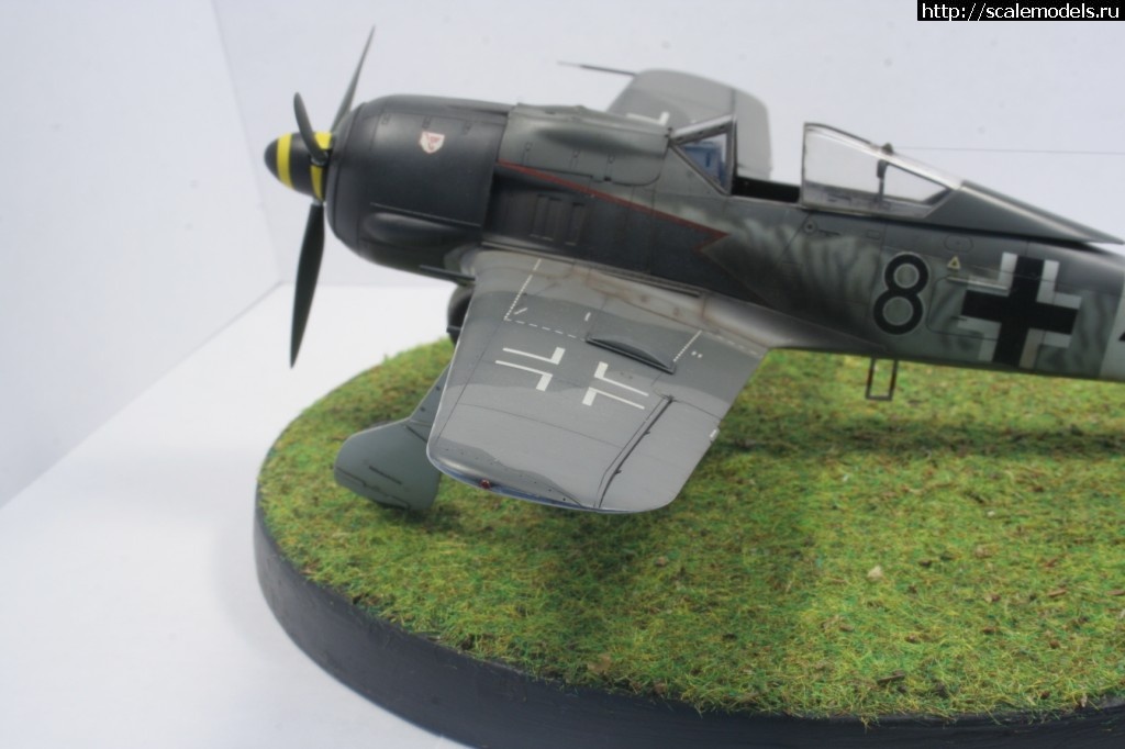 1459059149_IMG_3629.jpg : #1242894/ FW190A-8/A-8 R2  Tamiya 1/48 (andrey_ya/Rowdy) []  