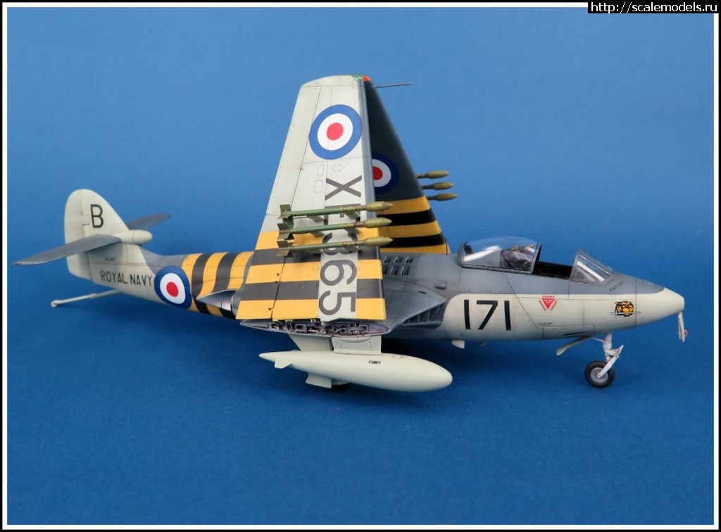 1459456204_1.jpg : #1245657/ Trumpeter Seahawk 1/48 !  