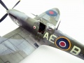 Eduard 1/48 Spitfire IXc -  .