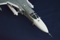 Trumpeter 1/48 -24  