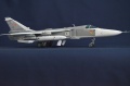 Trumpeter 1/48 -24  