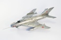 Trumpeter 1/48 -19