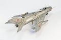 Trumpeter 1/48 -19