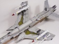 HobbyBoss 1/48 F-105G Thunderchief -    