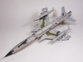 HobbyBoss 1/48 F-105G Thunderchief -    