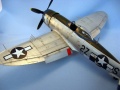 Tamiya 1/48 P-47D Thunderbolt