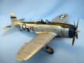 Tamiya 1/48 P-47D Thunderbolt