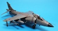 Tamiya 1/48 Harrier FRS.1   ,  