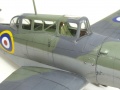 Special Hobby 1/48 Blackburn Skua -  