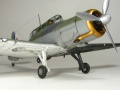 Special Hobby 1/48 Blackburn Skua -  