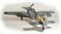 Hasegawa 1/32 FW-190A-6