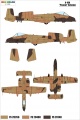  A-10 egg plane - -